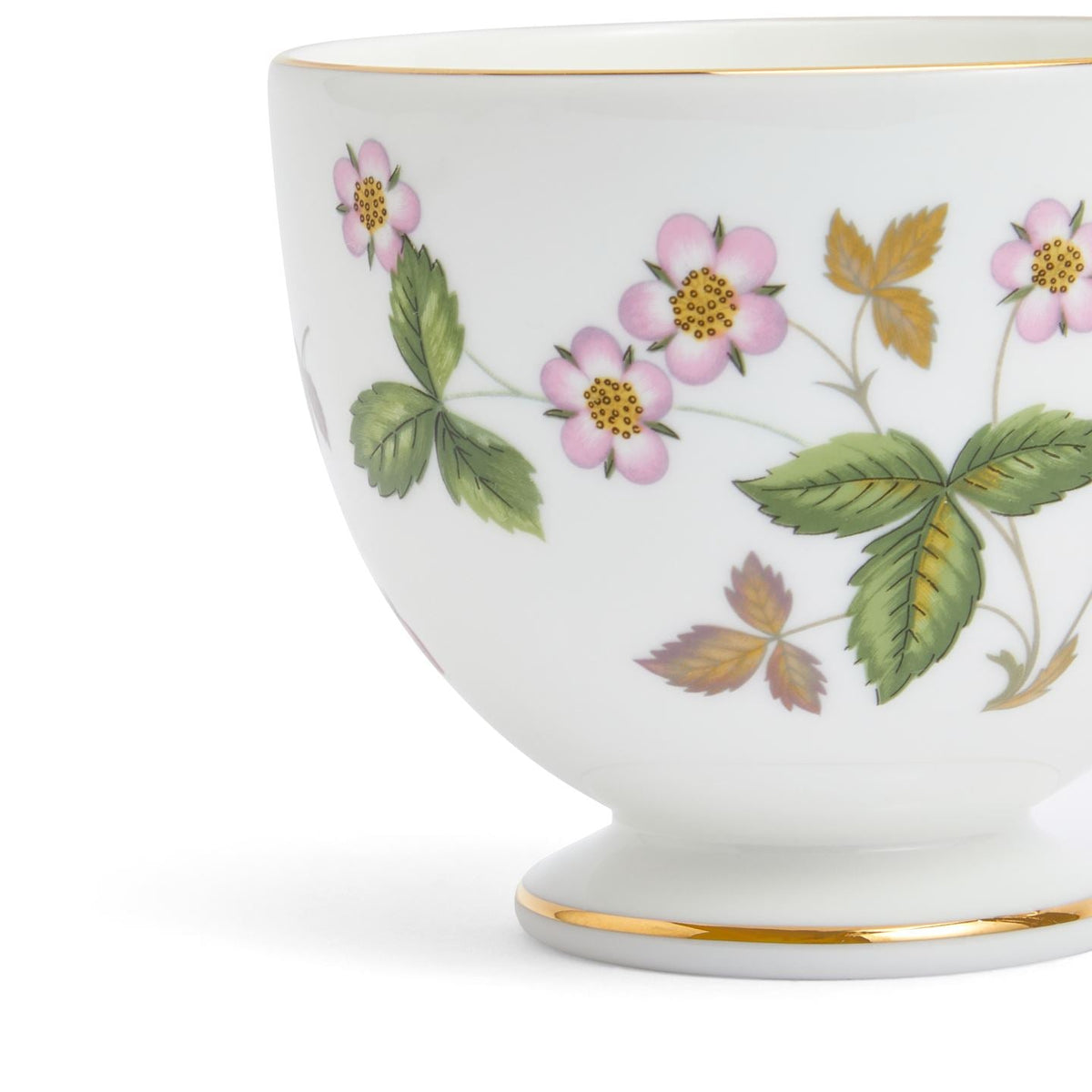 Wild Strawberry Gold Teacup & Saucer Leigh