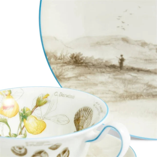 Darwin Voyage of the Beagle Patagonia Teacup Saucer Plate, 3 Pieces