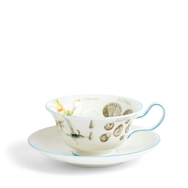 Darwin Voyage of the Beagle Patagonia Teacup Saucer Plate, 3 Pieces