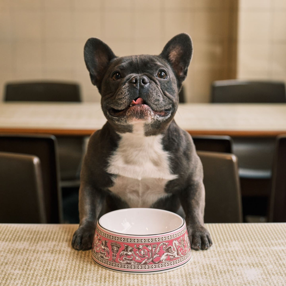 Florentine Fuchsia Pet Bowl Large