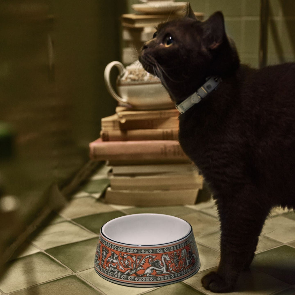 Florentine Salmon Pet Bowl Large