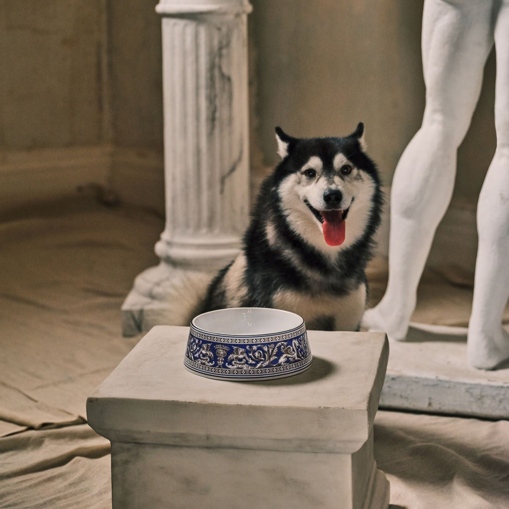 Florentine Marine Pet Bowl Large