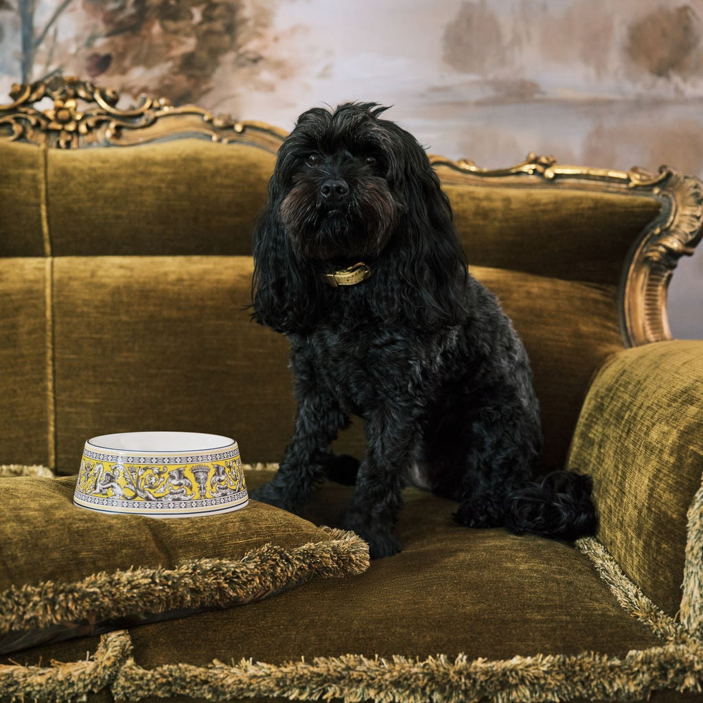Florentine Citron Pet Bowl Small