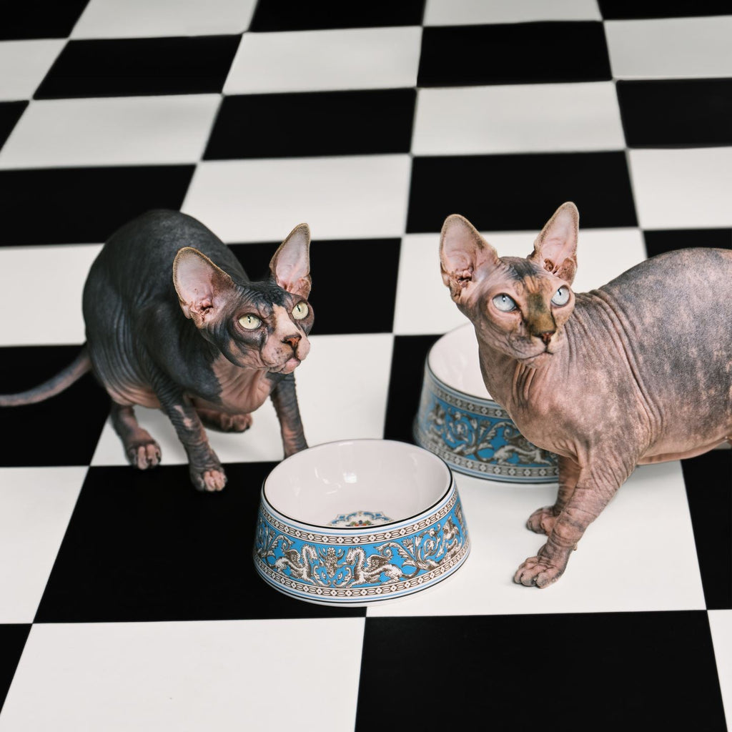 Florentine Turquoise Pet Bowl Small