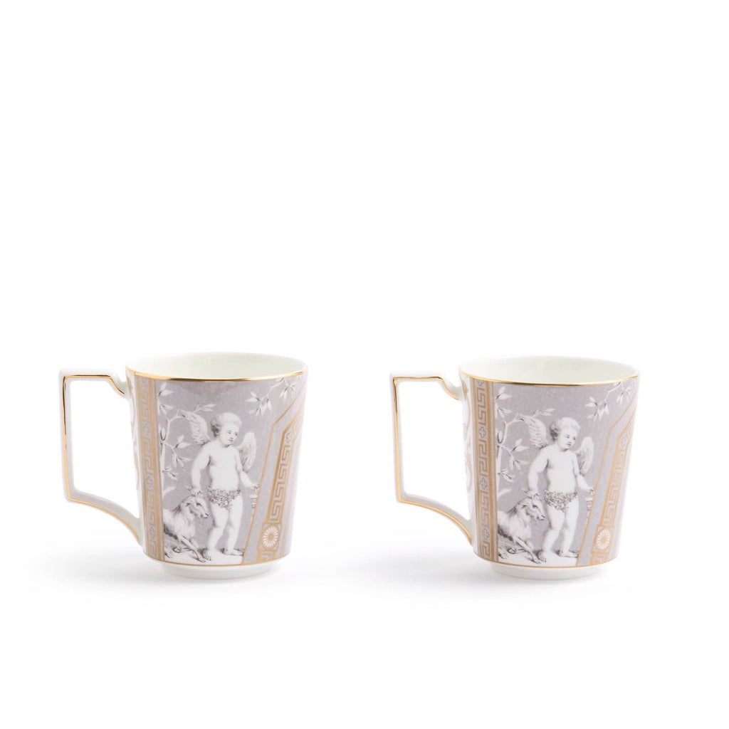 Renaissance Accents Grey Mug Set of 2