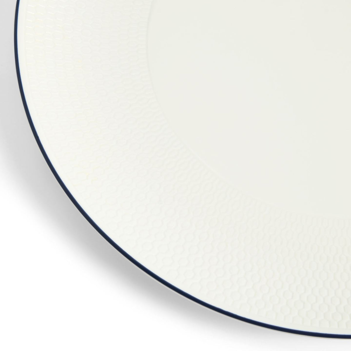 Gio Blue Dinner Plate