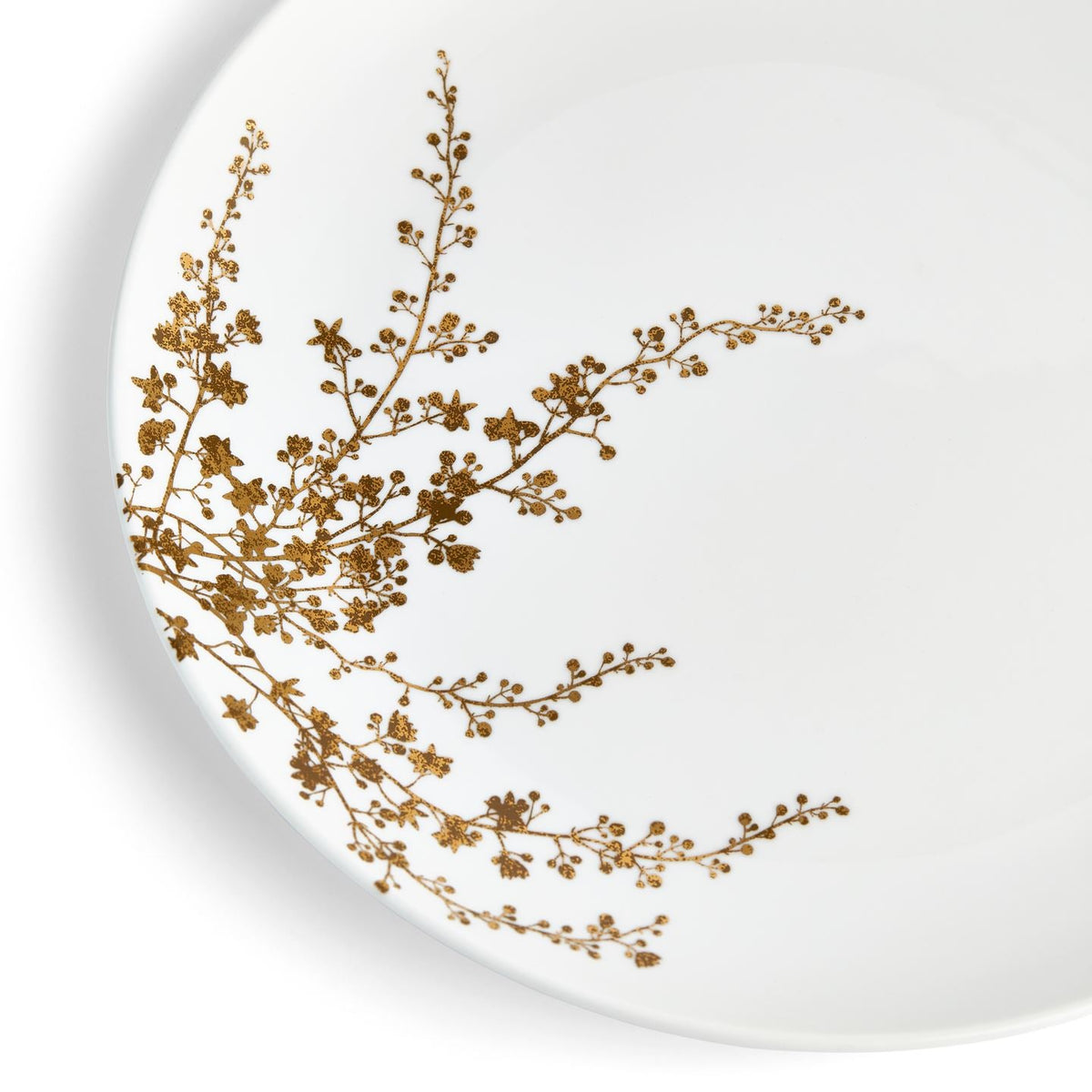Vera Wang Jardin Dinner Plate