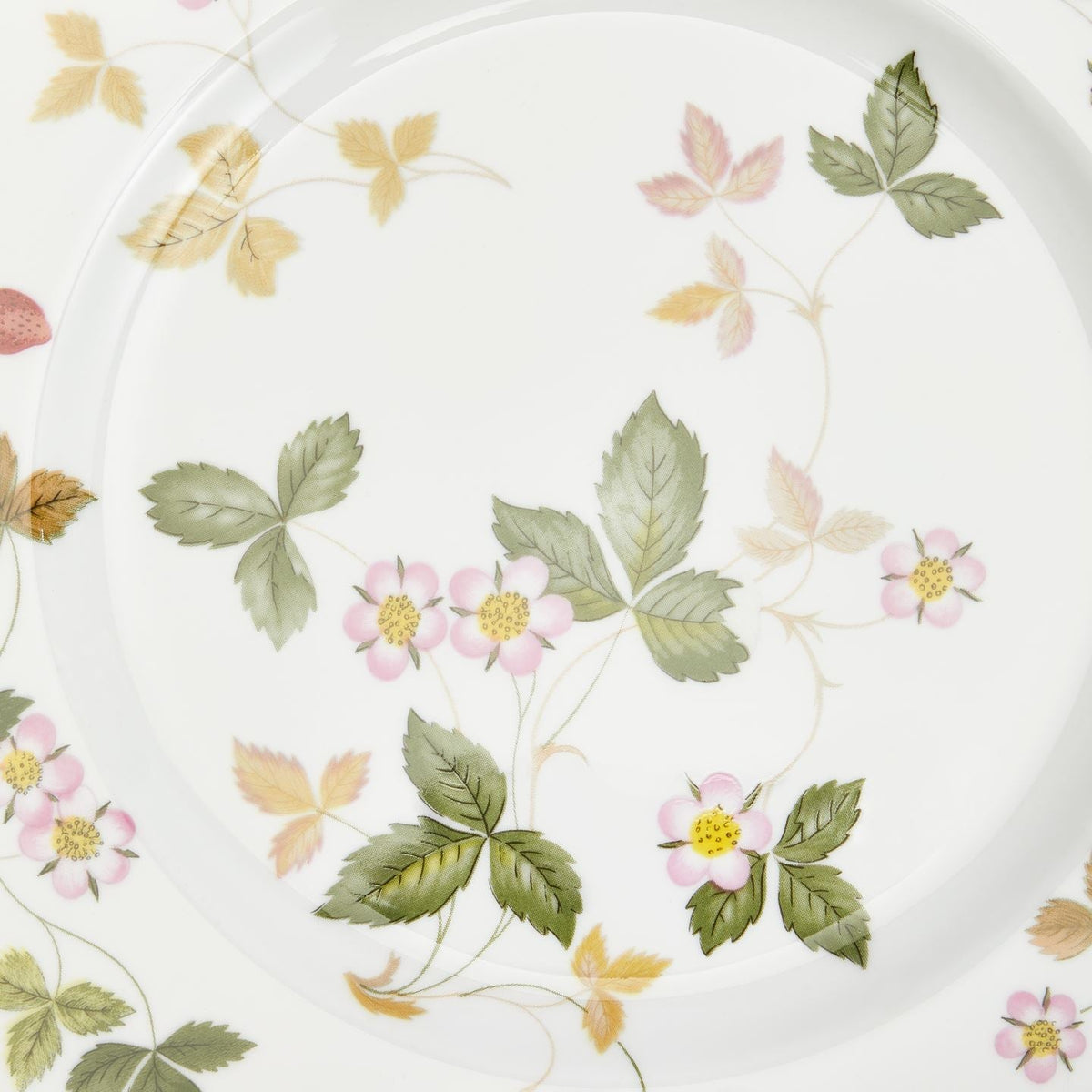 Wild Strawberry Gold Dinner Plate