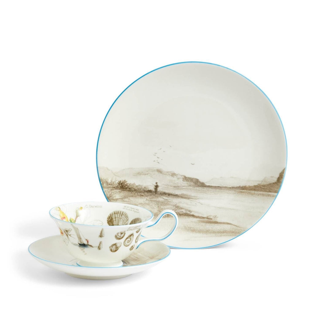 Darwin Voyage of the Beagle Patagonia Teacup Saucer Plate, 3 Pieces