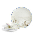 Darwin Voyage of the Beagle Chile Teacup Saucer Plate 3 Pieces