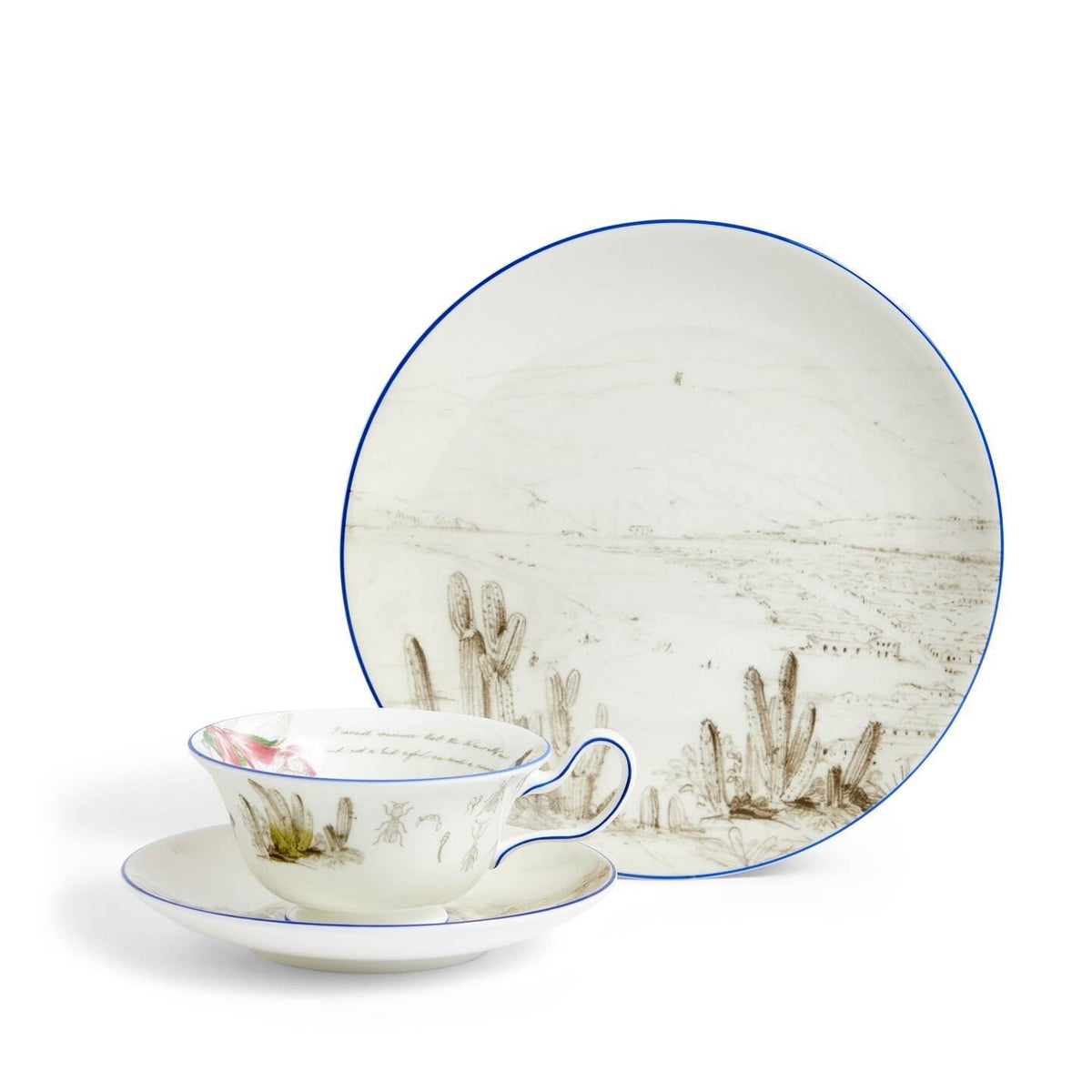 Darwin Voyage of the Beagle Chile Teacup Saucer Plate 3 Pieces